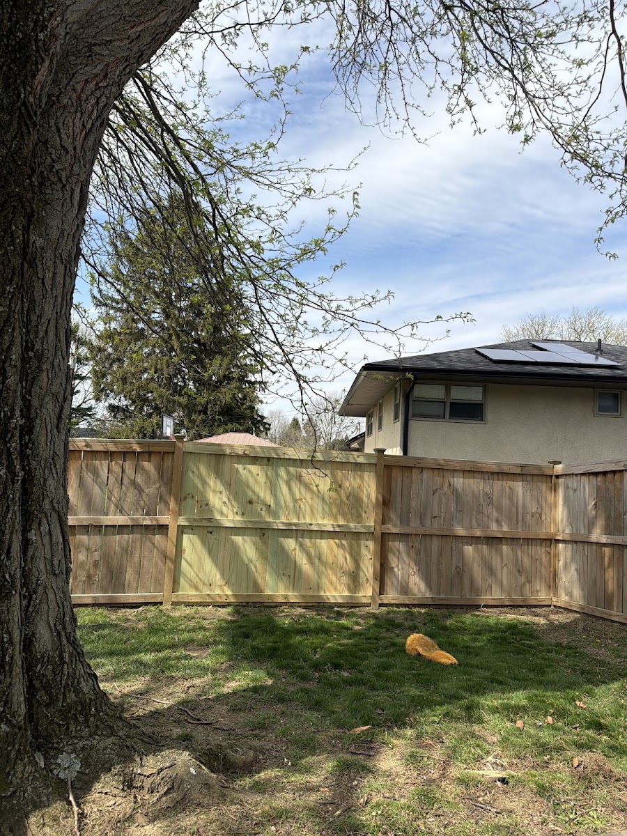 Freshly built wood privacy fence in a Columbus, Ohio backyard, a real Hawks Hauling & Construction job
