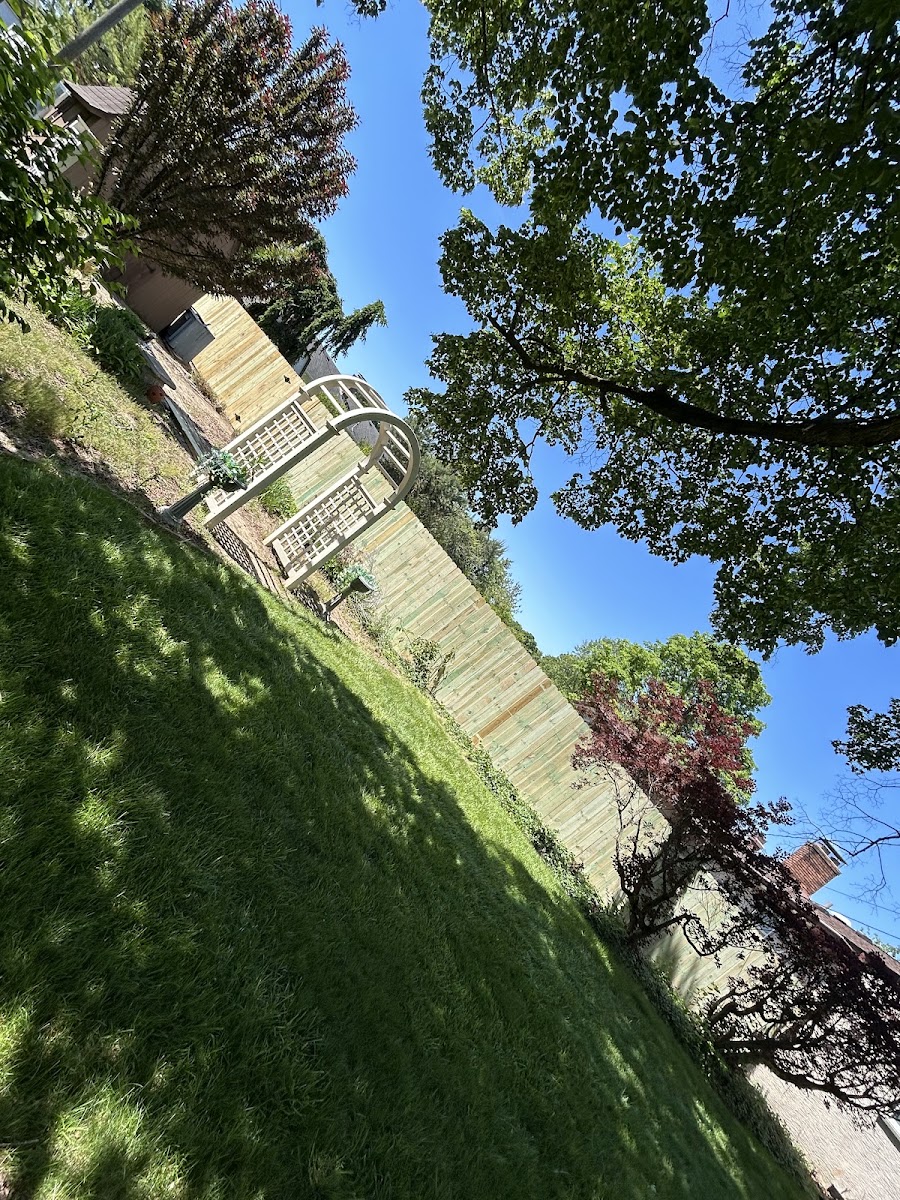 Wood privacy fence with a matching arbor gate in a Columbus, Ohio yard